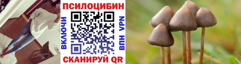 закладка  Гусиноозёрск  МЕГА как зайти  Галлюциногенные грибы Magic Shrooms 